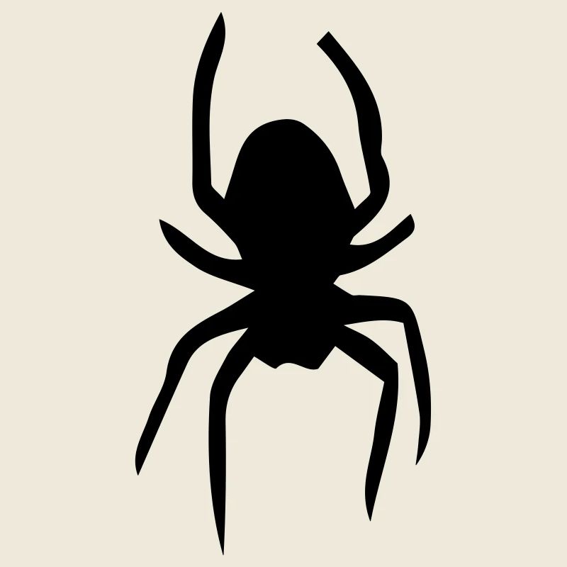 Spinne