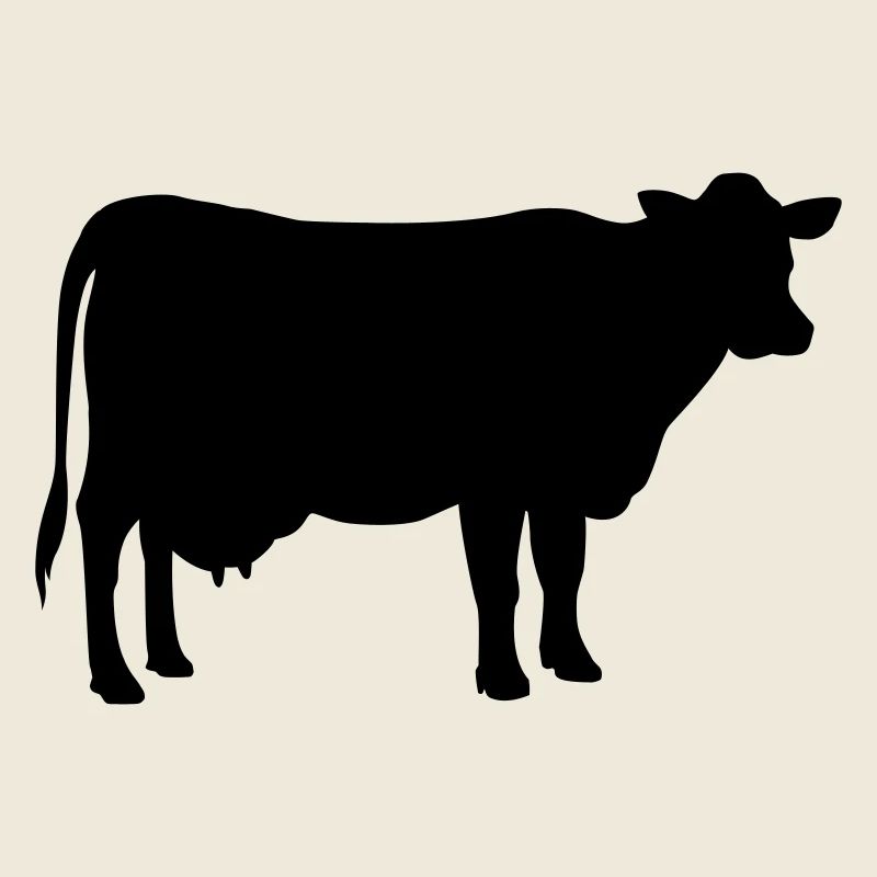 cow animal