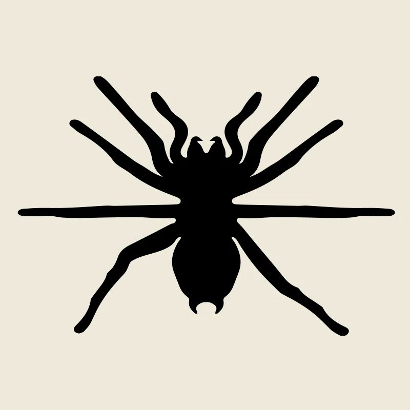 spider