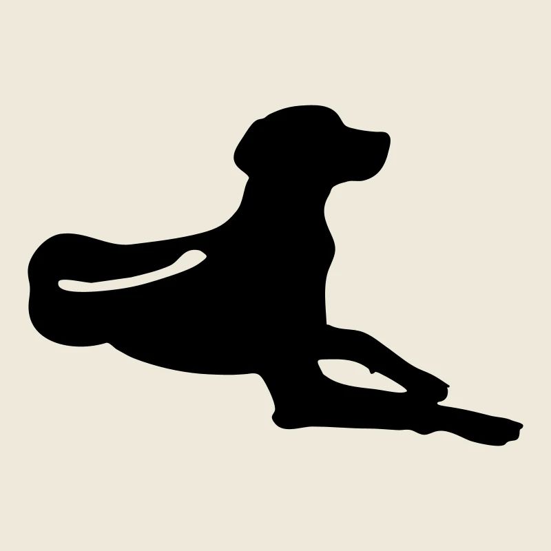 Rhodesian Ridgeback Liegend