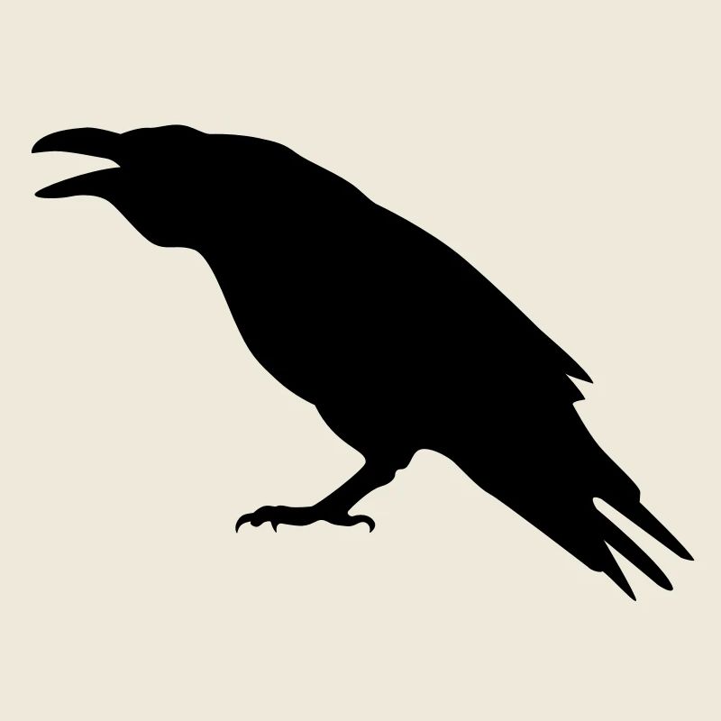 raven