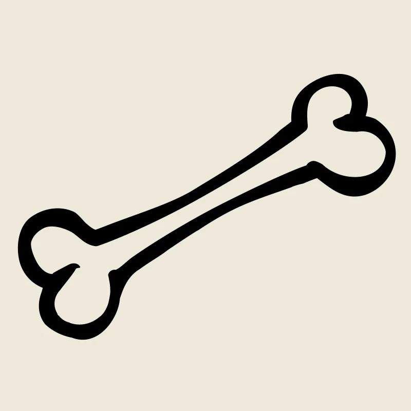 bone_r1