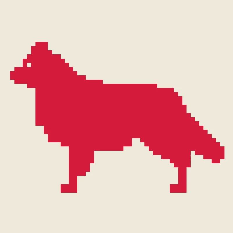 Australian Shepherd mit Rute