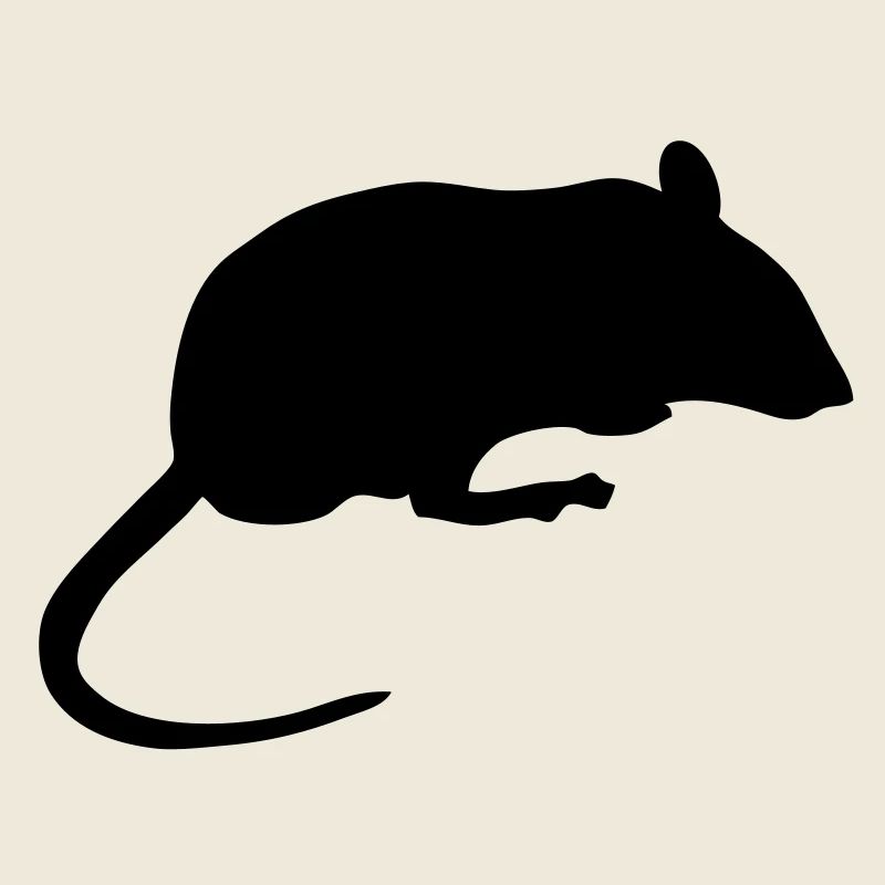 souris mouse silhouette ombre shadow8