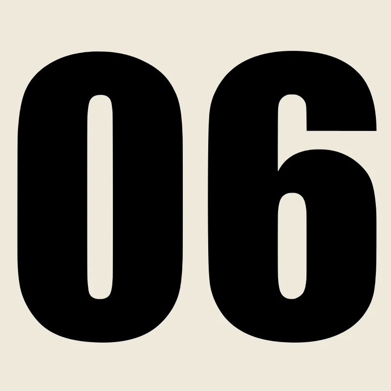 06