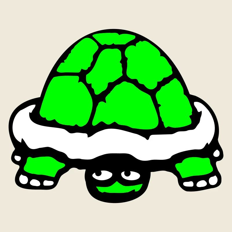 tortue cachée timide sourire drôle