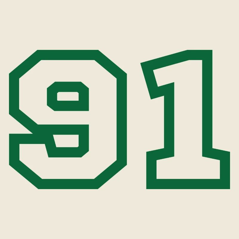 Numéro 91 sport