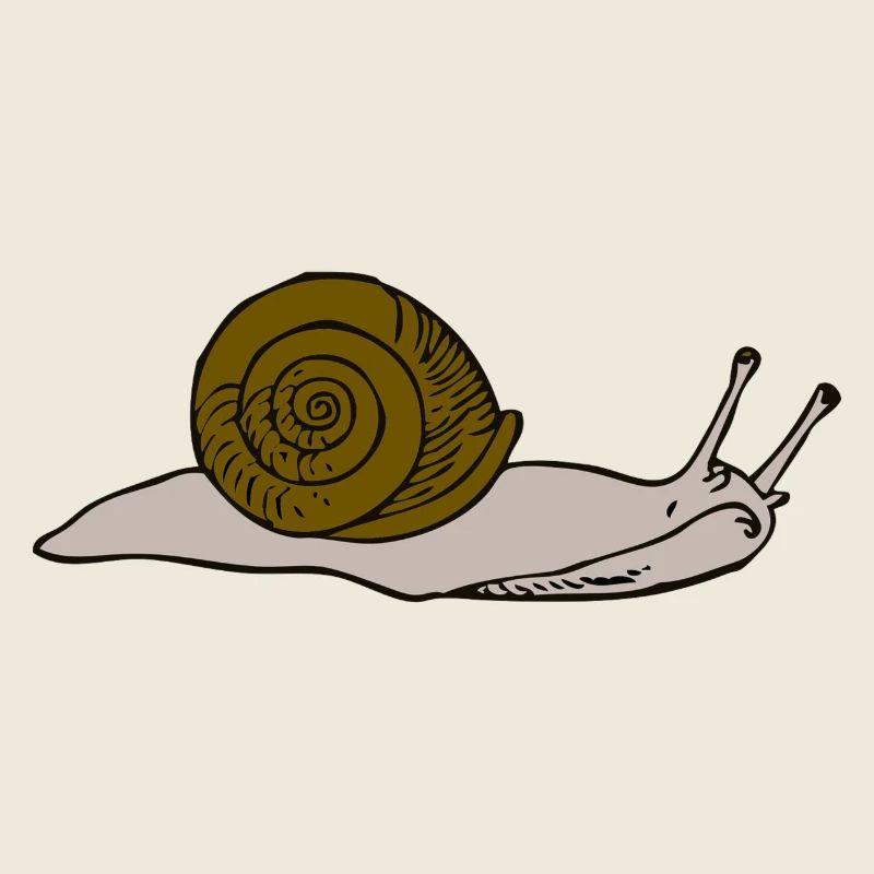 Brown escargot