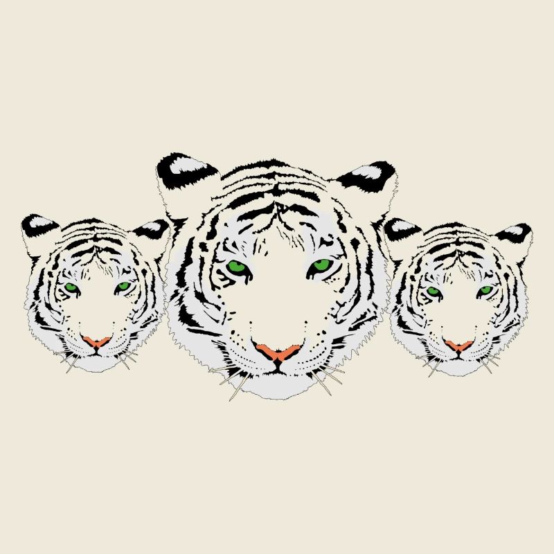 tiger, weiße tiger,tiger trio