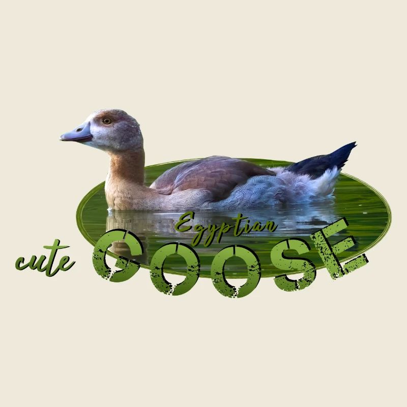 Goose Chick Bird Goose