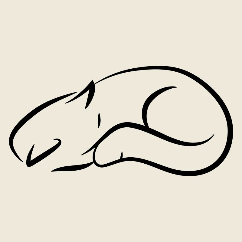 Katze