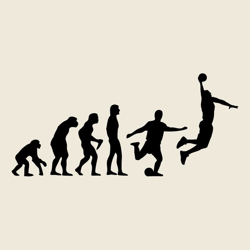 Basket-ball Evolution Basketball Basket