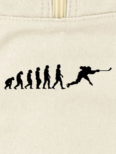evolution hockey