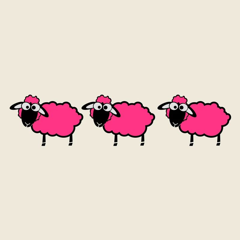 flock sheep