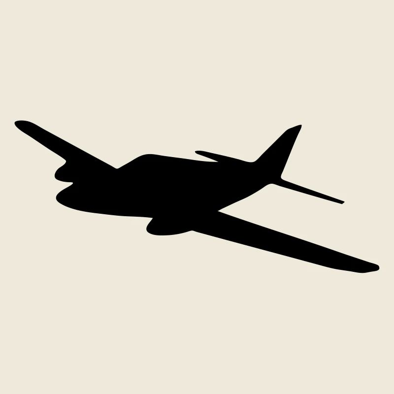 avion tourisme