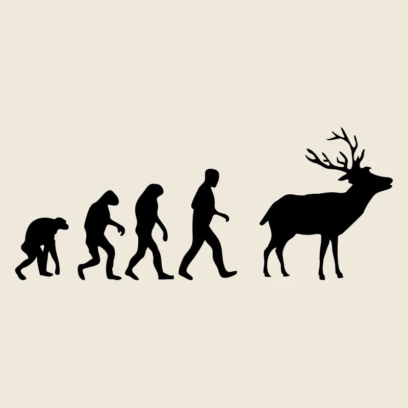 hirsch evolution