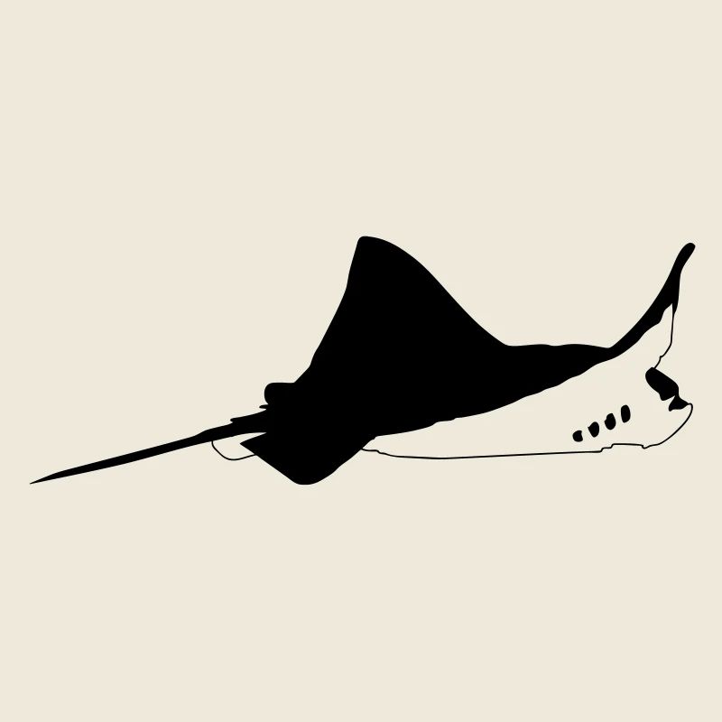 Manta