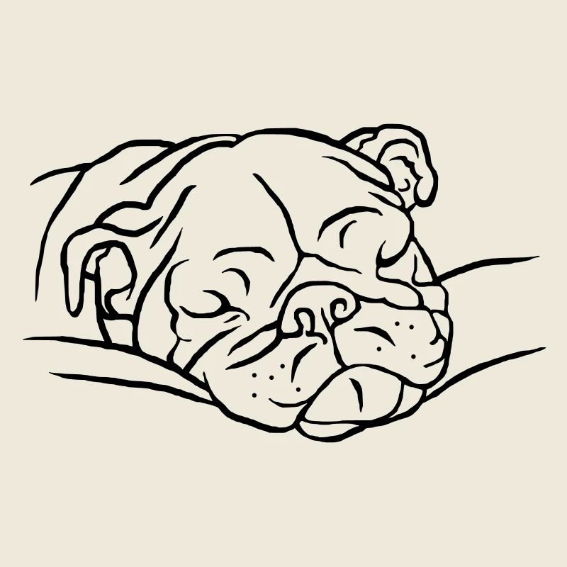 Bouledogue anglais endormi