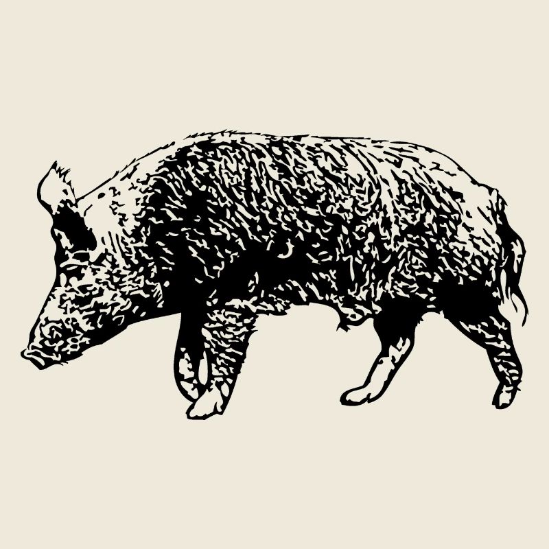 Wild Boar
