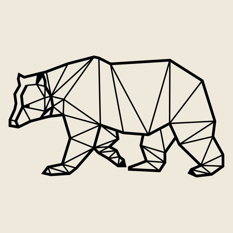 Black bear A/P