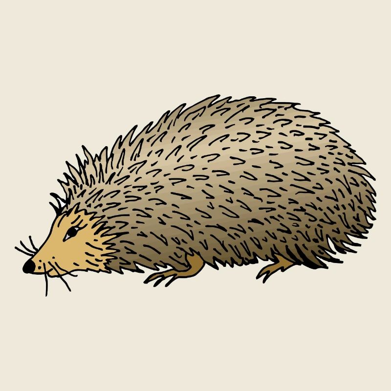 Hedgehog