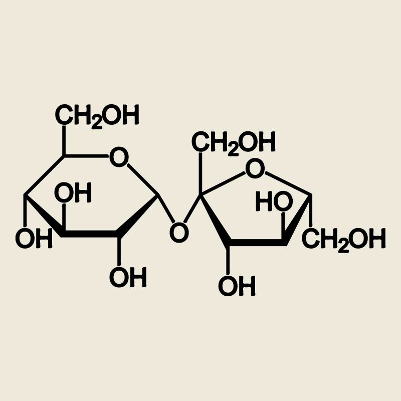 saccharose zucker