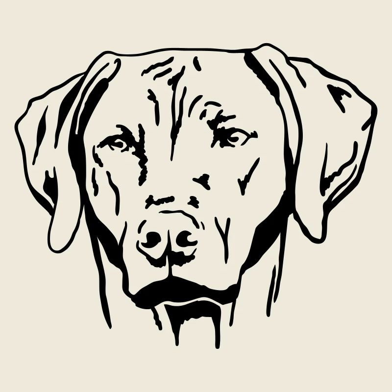 Rhodesian Ridgeback