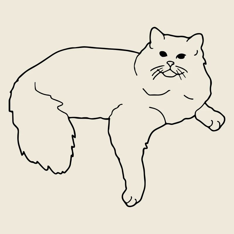 ragdoll