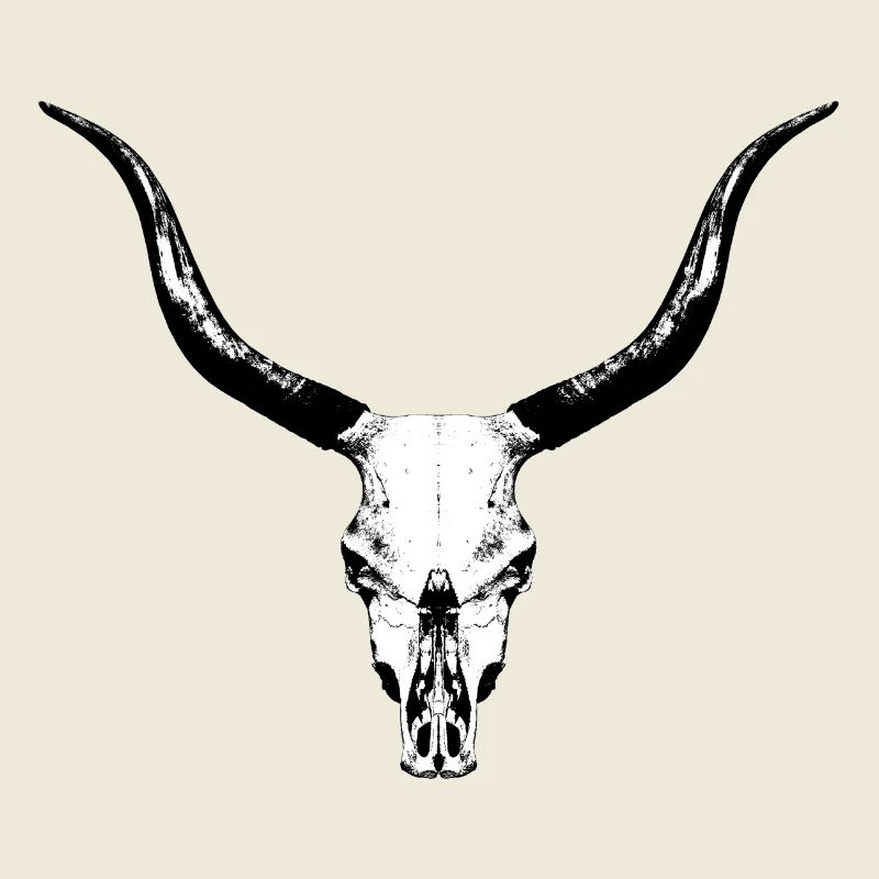 Crâne de bovin / crâne osseux d’un taureau
