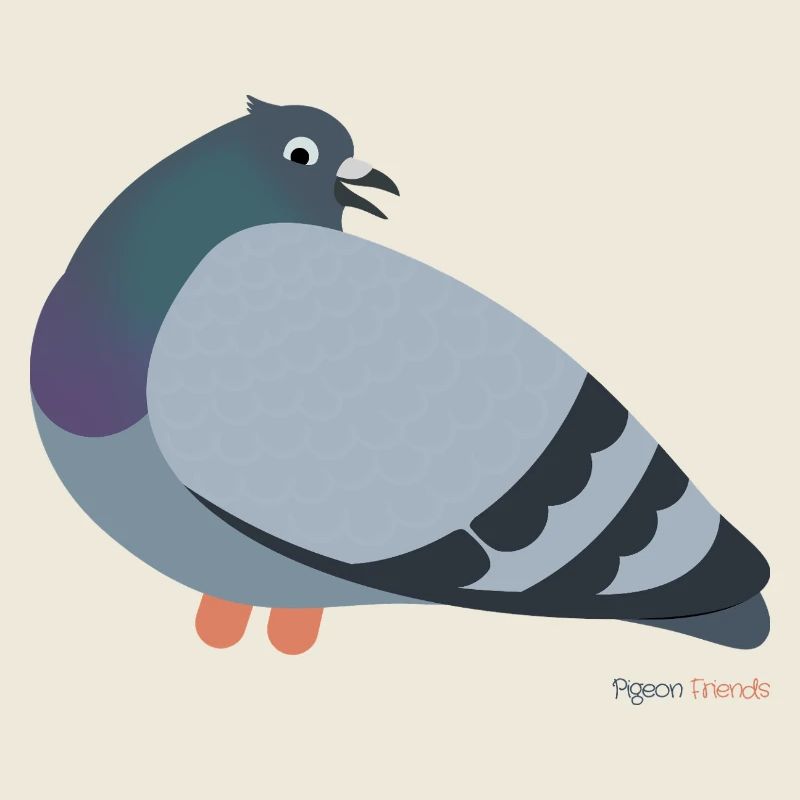 Pigeons pigeons