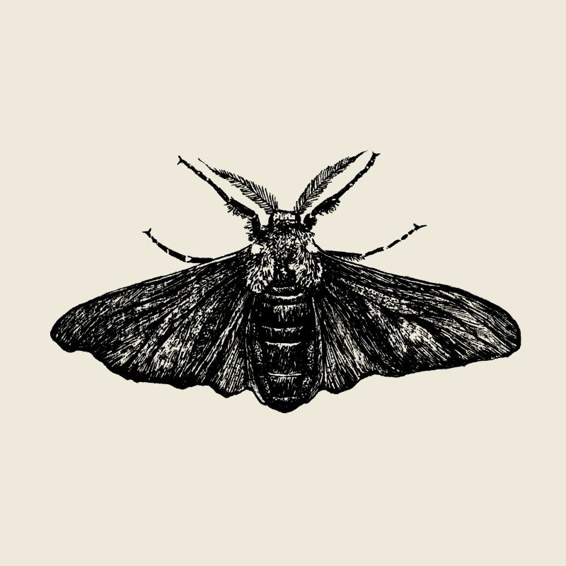 Peppered moth