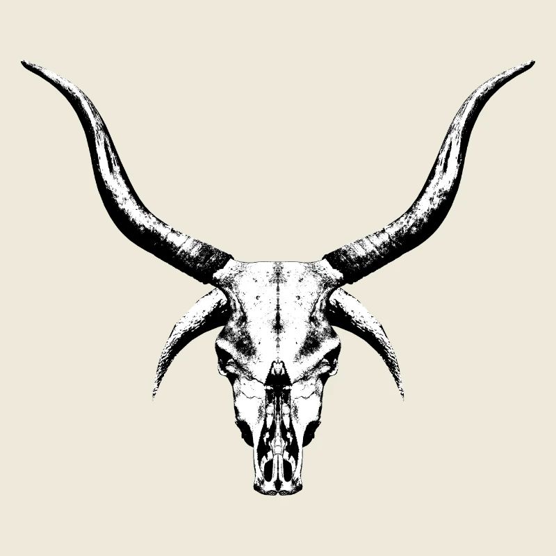 Mysterious Cattle Skull