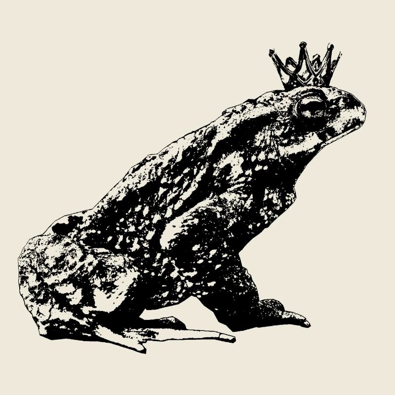 Crowned Toad