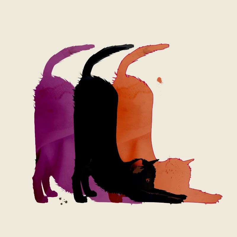 Chat