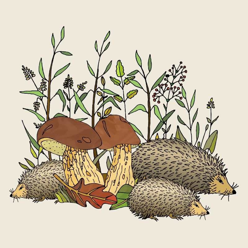 Igel