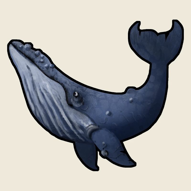 Humpback whale