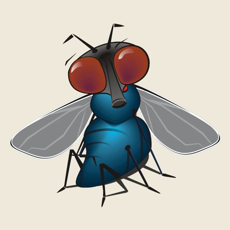 fliege