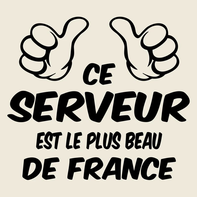 MEILLEUR SERVEUR