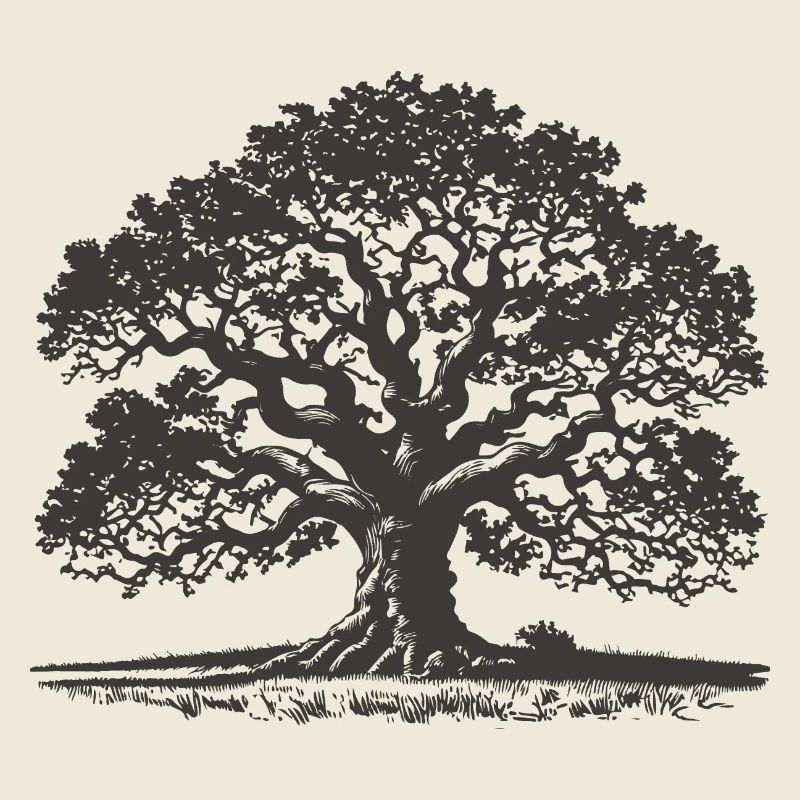 Oak