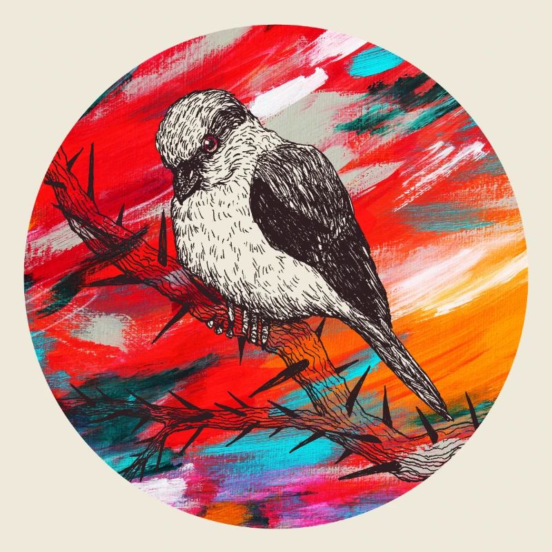 Aggrovogel Buntes Design