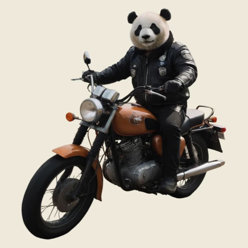 Biker Panda