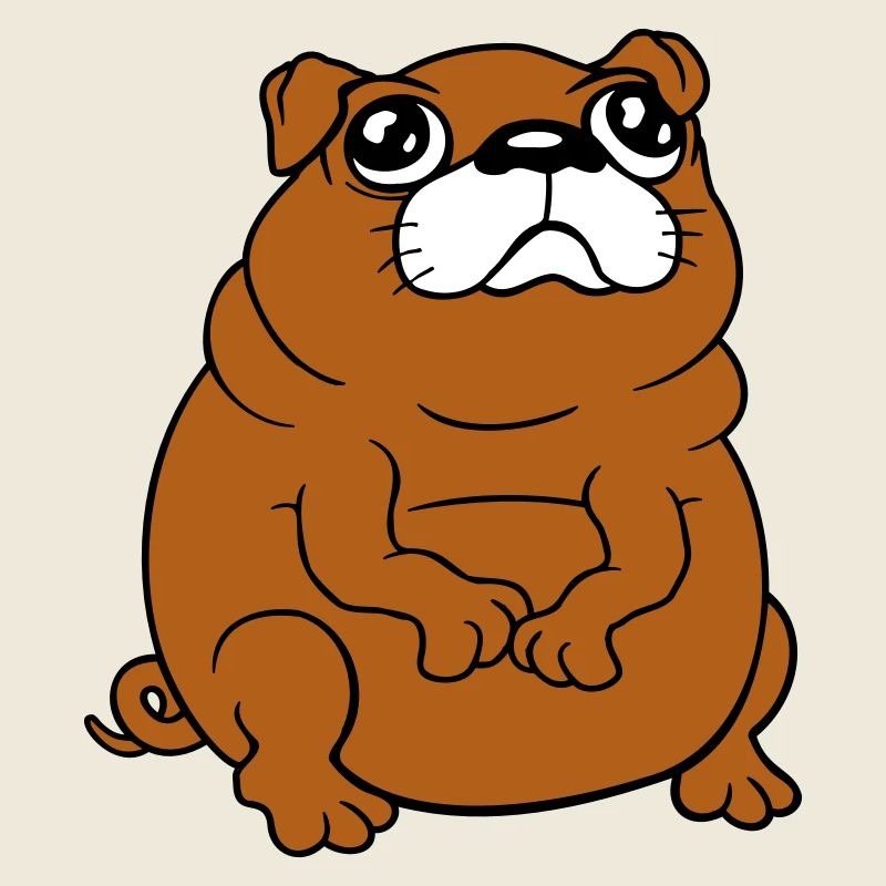 Mops Hund Sitzt Klein Betteln Dick Guckt Traurig