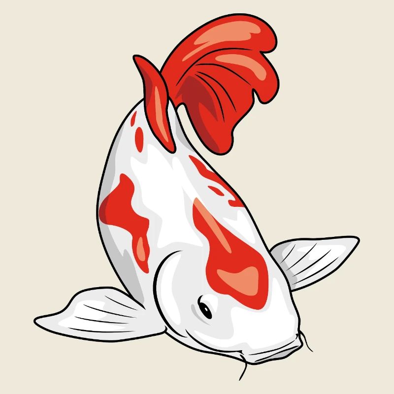 Poisson koï