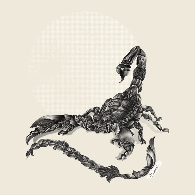 Skorpion Sternzeichen