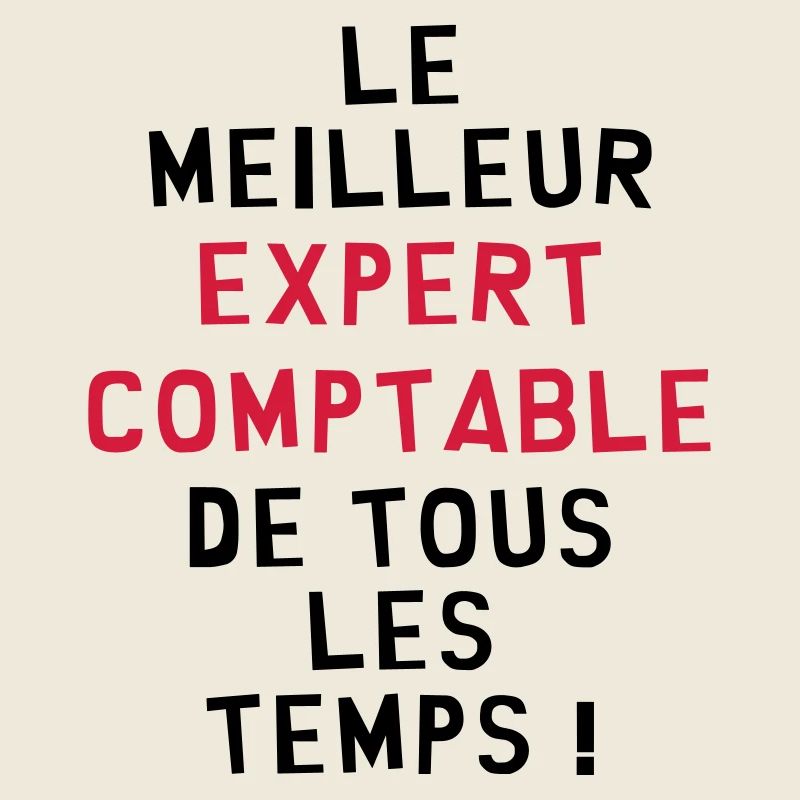 Expert Comptable / Comptabilité / Comptable /
