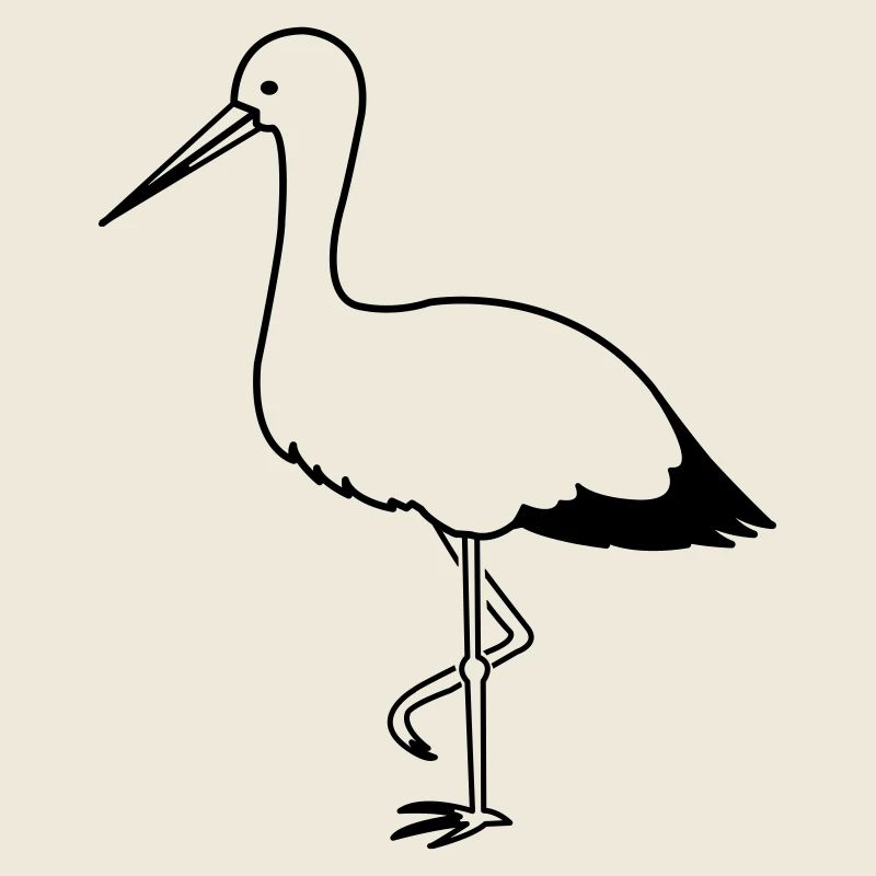 storch_1