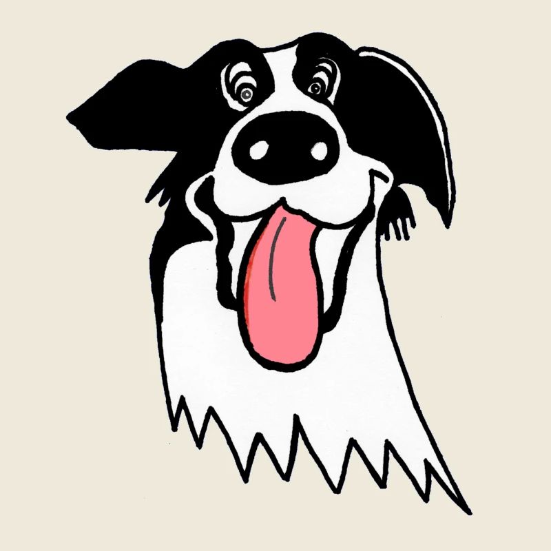 Netter Border Collie