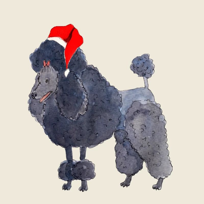 Caniche Noël
