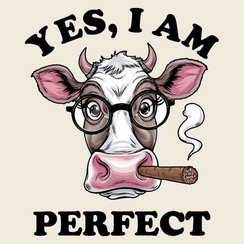 Vache à lunettes – , je suis parfaite !