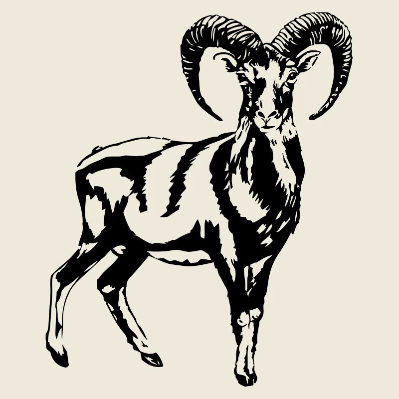 Mufflon
